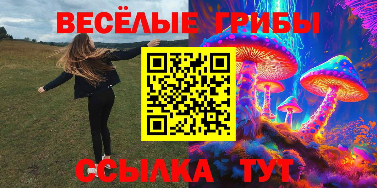 Галлюциногенные грибы GOLDEN TEACHER  Галлюциногенные грибы GOLDEN TEACHER  Вход с VPN  Тавда 