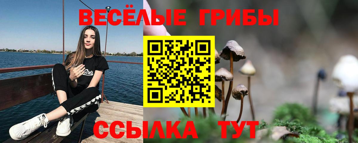 Галлюциногенные грибы GOLDEN TEACHER Тавда