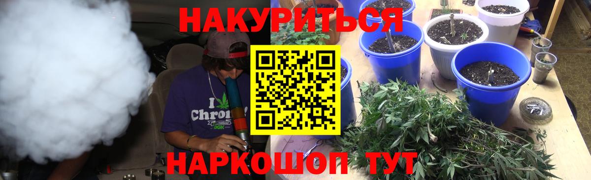 Бошки Шишки марихуана  Вход с VPN  Тавда  Конопля конопля 